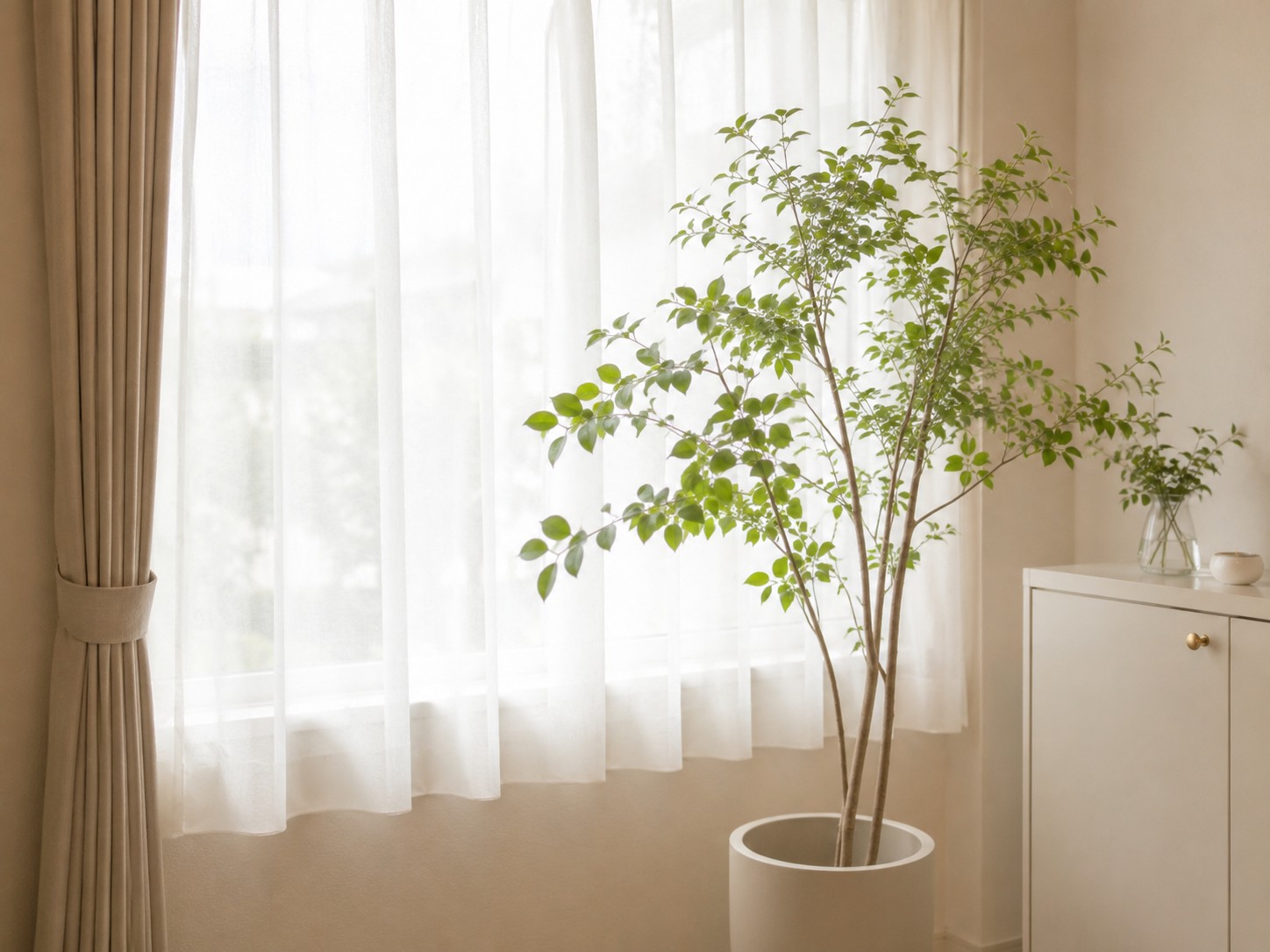 窓辺に観葉植物を置いた明るい室内（掲載イメージ）
