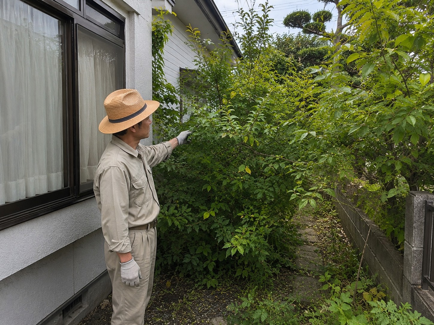 枝が伸びて窓にかかった作業前の庭木（イメージ）