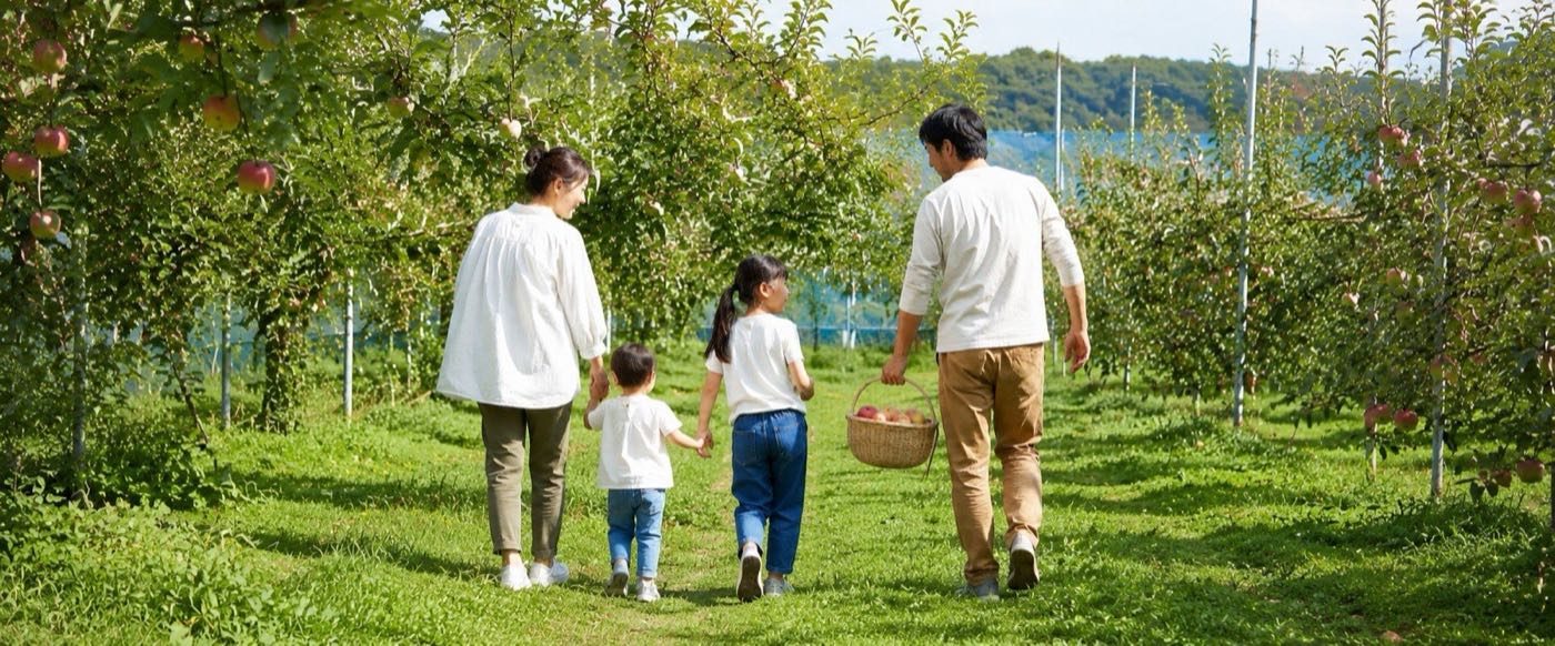 収穫かごを手に果樹園を歩く家族(イメージ)