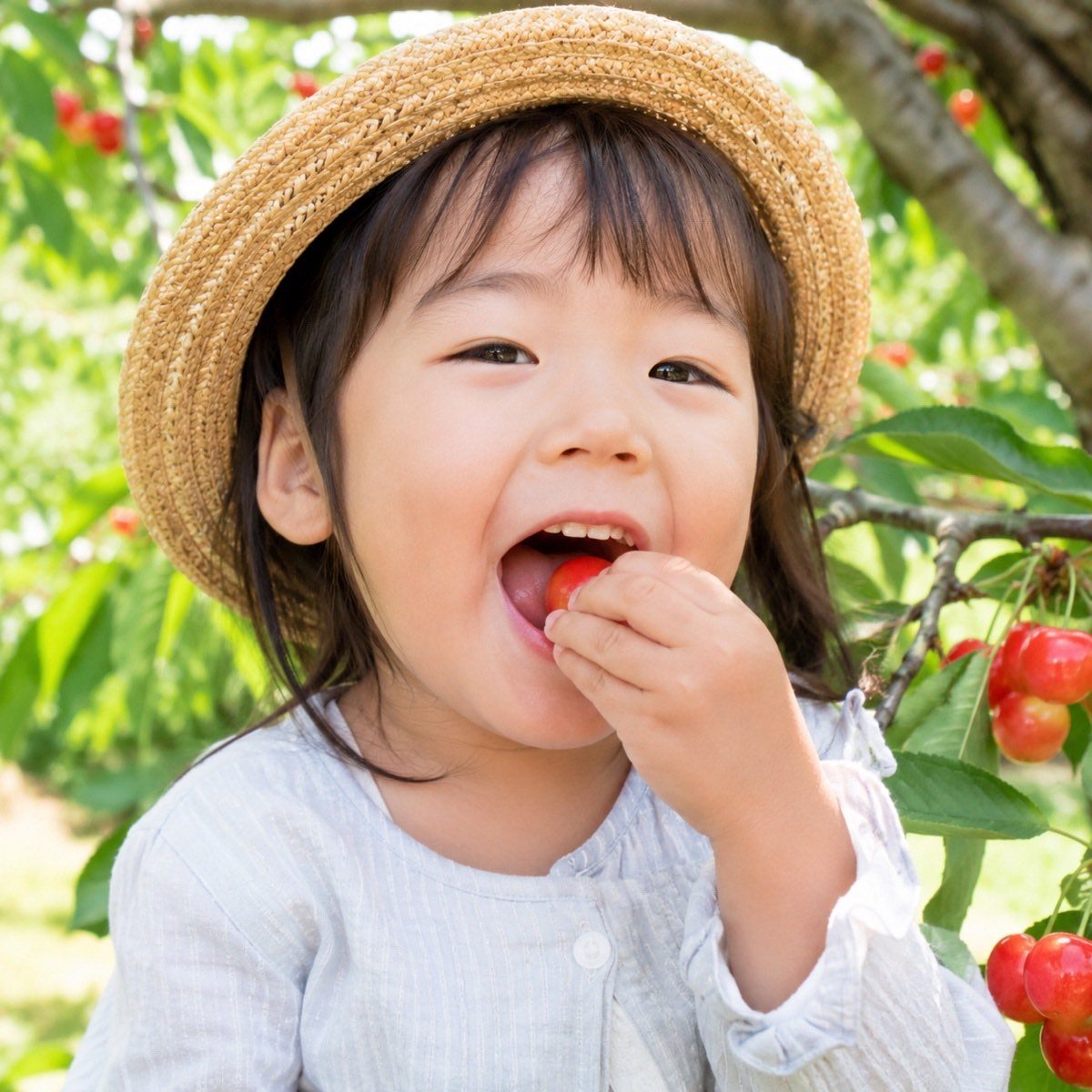 採ったさくらんぼを口に運ぶ子ども(イメージ)