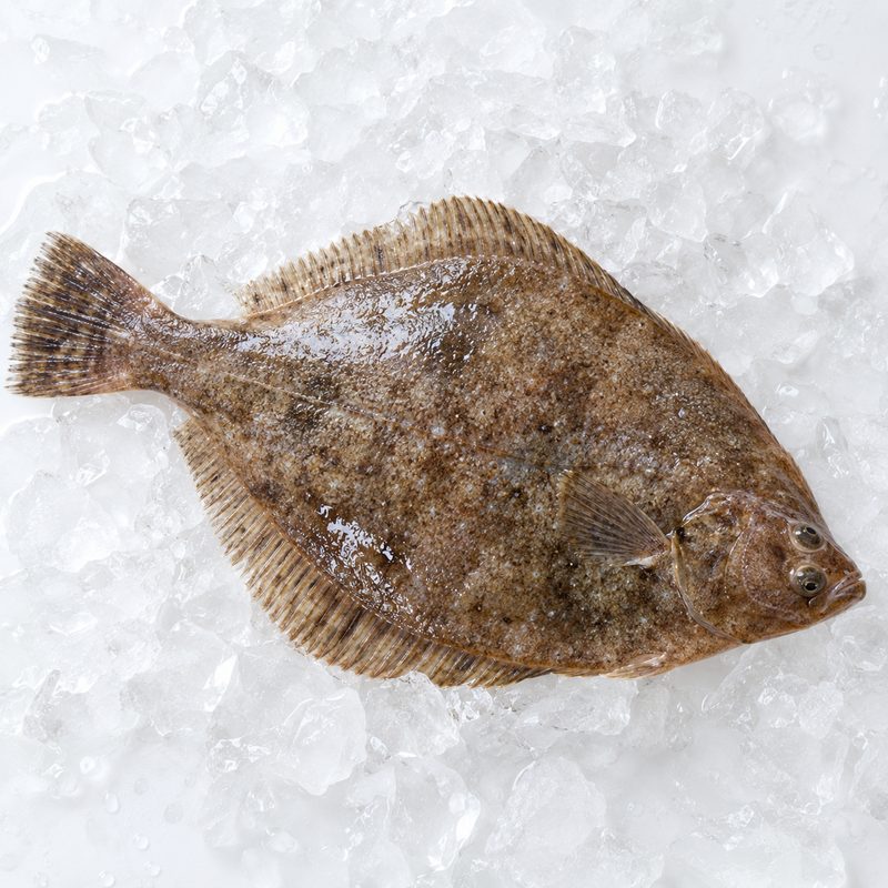 氷の上のカレイ（掲載イメージ）